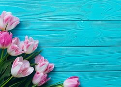 Różowo-białe, Tulipany, Niebieskie, Deski