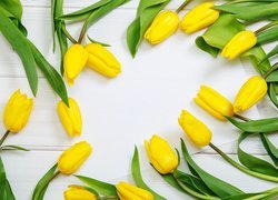Rozrzucone żółte tulipany