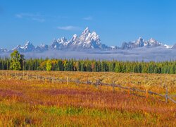 Jesień, Park Narodowy Grand Teton, Góry, Teton Range, Pole, Ogrodzenie, Drzewa, Stan Wyoming, Stany Zjednoczone
