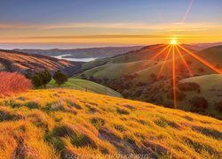 Góry, Jezioro, Drzewa, Krzewy, Wzgórza, Promienie słońca, Dolina Livermore Valley, Kalifornia, Stany Zjednoczone