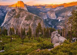 Park Narodowy Yosemite, Góry, Góra, Half Dome, Drzewa, Roślinność, Skały, Kalifornia, Stany Zjednoczone