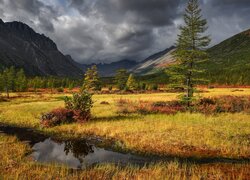 Rozświetlona trawa i ciemne chmury nad górami