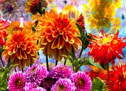 Kwiaty, Kolorowe, Dalie, Grafika