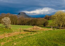 Rozświetlone drzewa na ogrodzonej łące i pochmurne niebo nad górami