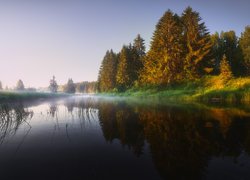 Rozświetlone drzewa nad rzeką w oparach mgły