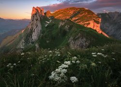 Rozświetlone góry Appenzeller Alpen w Szwajcarii