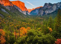 Stany Zjednoczone, Kalifornia, Park Narodowy Yosemite, Góry, Dolina, Yosemite Valley, Jesień, Drzewa, Las