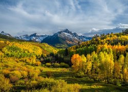 Jesień, Drzewa, Łąka, Góra, Mount Sneffels, Kolorado, Stany Zjednoczone