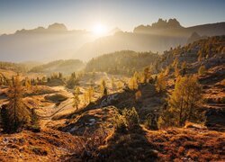 Góry, Dolomity, Włochy, Jesień, Roślinność, Drzewa
