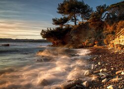 Rozświetlone kamienie i drzewa na skałach nad morzem