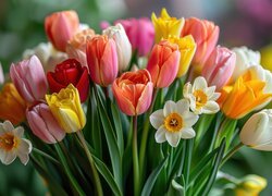 Rozświetlone kolorowe tulipany i żonkile w bukiecie