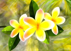 Kwiaty, Plumeria, Grafika