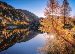 Rozświetlone modrzewie nad jeziorem