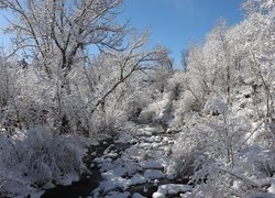 Zima, Rzeka, Drzewa, Kamienie, Śnieg