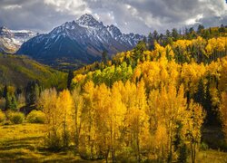 Rozświetlone pożółkłe drzewa i szczyt Mount Sneffels pod ciemnymi chmurami