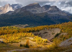 Góry, Góra, Nub Peak, Las, Drzewa, Jesień, Chmury, Park prowincjonalny Mount Assiniboine, Kolumbia Brytyjska, Kanada