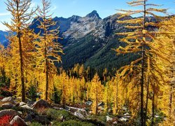 Jesień, Góry, Kamienie, Drzewa, Żółte