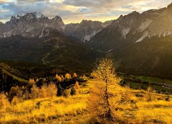 Jesień, Góry, Dolomity, Drzewa, Żółte, Modrzewie, Trawa, Tyrol, Włochy