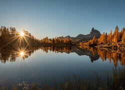 Rozświetlone pożółkłe modrzewie nad jeziorem Federa we włoskich Dolomitach