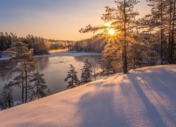 Rozświetlone promieniami słońca drzewa w śniegu nad rzeką