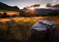 Rozświetlone promieniami słońca kamienie wśród traw na wzgórzu