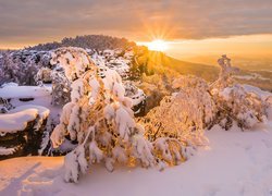 Rozświetlone promieniami słońca zasypane śniegiem drzewa i skały w Górach Połabskich