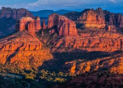 Stany Zjednoczone, Arizona, Skały, Cathedral Rock, Sedona, Drzewa