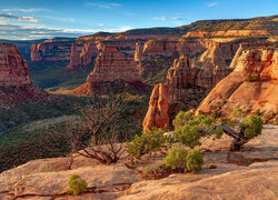 Stany Zjednoczone, Kolorado, Colorado National Monument, Skały, Drzewa, Krzewy