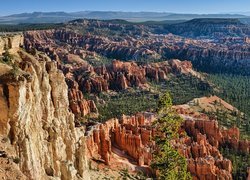 Rozświetlone skały i las w Bryce Canyon