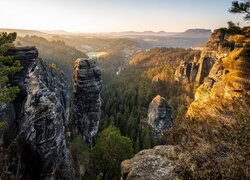 Skały, Góry Połabskie, Drzewa, Park Narodowy Saskiej Szwajcarii, Niemcy