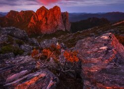 Wschód słońca, Skały, Szczyty, Góry, Krzewy, Arthur Range, Tasmania, Australia