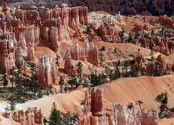 Rozświetlone słońcem czerwone skały w Parku Narodowym Bryce Canyon