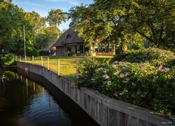 Rozświetlone słońcem domy i kwiaty nad rzeką w Giethoorn