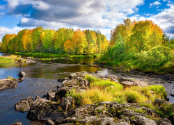Rzeka, Kamienie, Trawa, Las, Kolorowe, Drzewa, Jesień