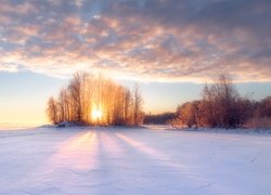 Zima, Pola, Drzewa, Chmury, Zachód słońca