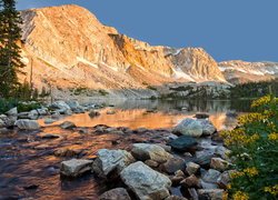 Góry, Medicine Bow Range, Drzewa, Kamienie, Kwiaty, Jezioro, Lake Marie, Wyoming, Stany Zjednoczone