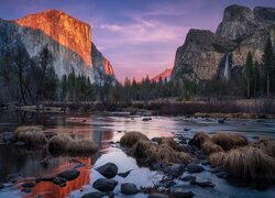 Stany Zjednoczone, Stan Kalifornia, Park Narodowy Yosemite, Rzeka Merced, Drzewa, Góry Sierra Nevada