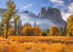 Park Narodowy Yosemite, Góry, Skały, Drzewa, Mgła, Jesień, Kalifornia, Stany Zjednoczone