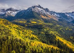 Góry Skaliste, Góra, Mount Sneffels, Jesień, Lasy, Drzewa, Kolorado, Stany Zjednoczone