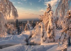 Zima, Śnieg, Ośnieżone, Drzewa, Góry, Zachód słońca