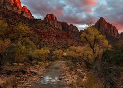 Góry, Czerwone, Szczyty, Rzeka, Virgin River, Kamienie, Drzewa, Park Narodowy Zion, Utah, Stany Zjednoczone