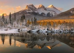 Kanada, Alberta, Canmore, Góry, Canadian Rockies, Góra, Three Sisters, Rzeka, Policeman Creek, Las, Drzewa, Krzewy, Odbicie