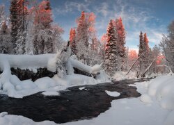 Rozświetlone wierzchołki drzew w śniegu nad rzeką
