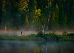 Jezioro, Mgła, Las, Drzewa