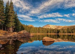 Rozświetlony las iglasty nad jeziorem Brainard Lake w Kolorado