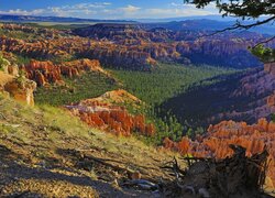 Góry, Skały, Drzewa, Trawa, Bryce Canyon, Park Narodowy Bryce Canyon, Utah, Stany Zjednoczone