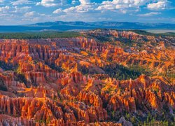 Rozświetlony słońcem Park Narodowy Bryce Canyon