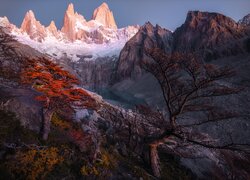 Rozświetlony szczyt górski Fitz Roy