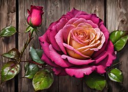 Rozwinięta różowa róża z pąkiem na deskach