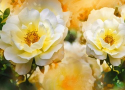 Kwiaty, Róże, Reprodukcja obrazu